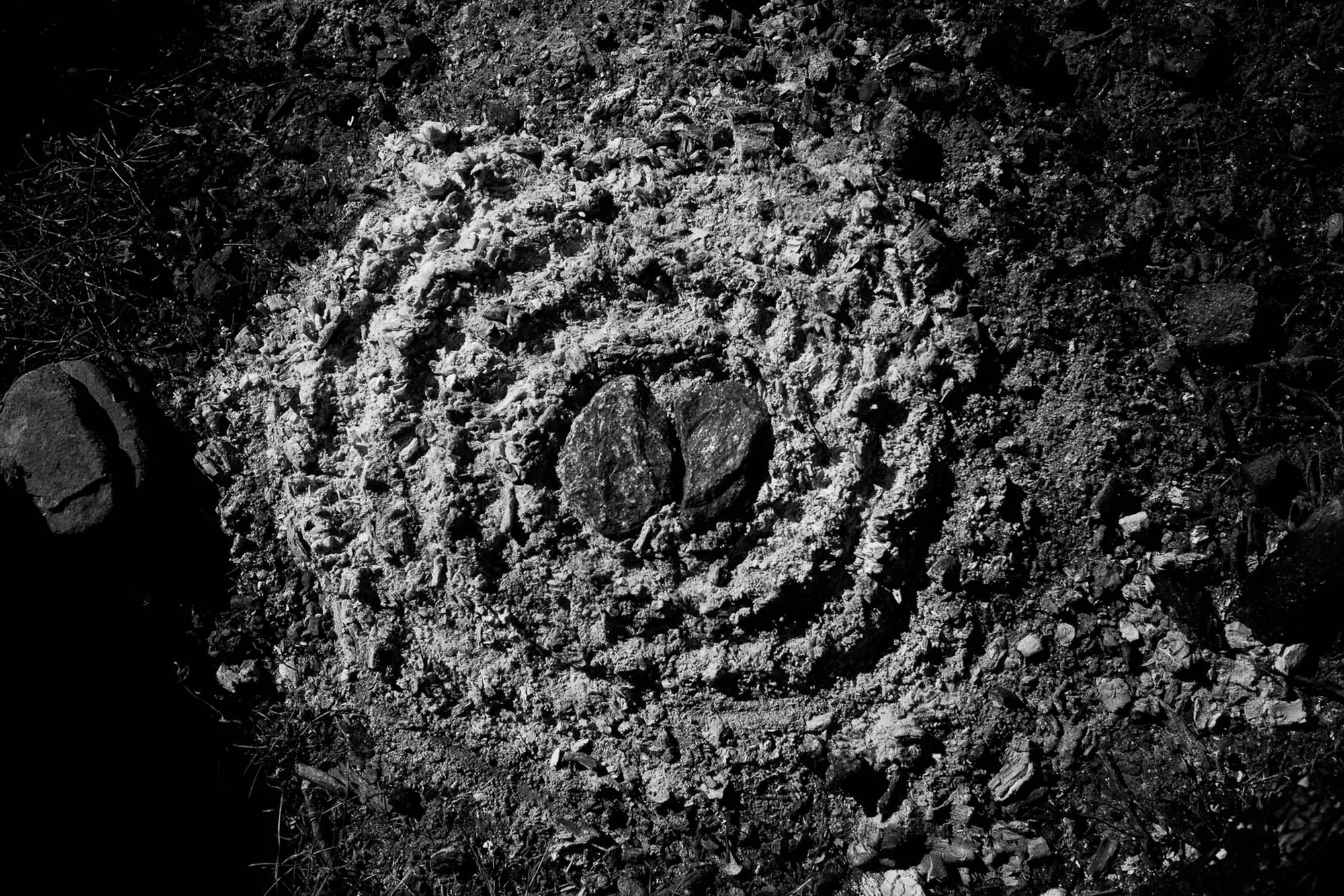 Pauli y Caro - Image 1