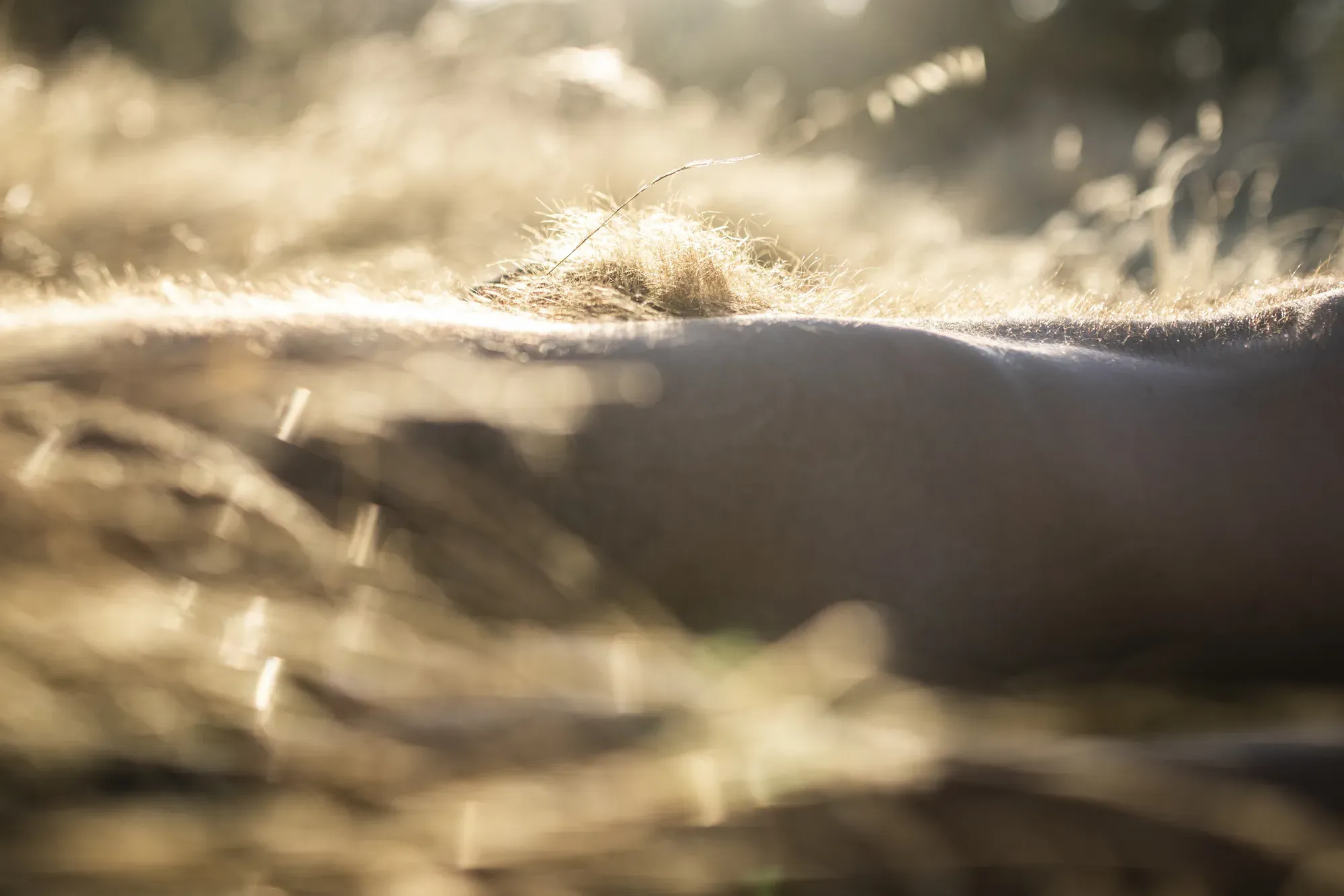 El Cuerpo Incómodo - Image 12