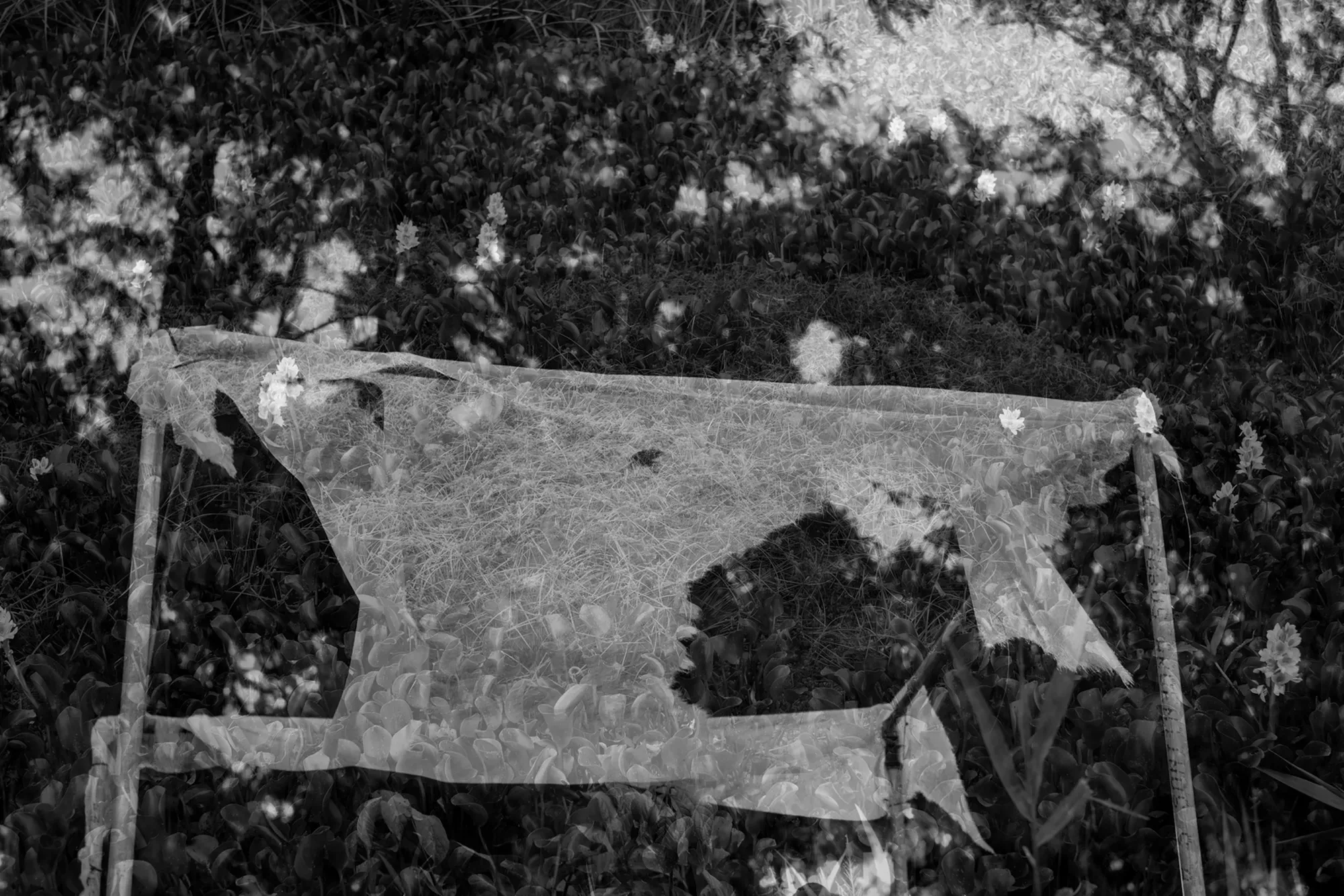 Pauli y Caro - Image 18