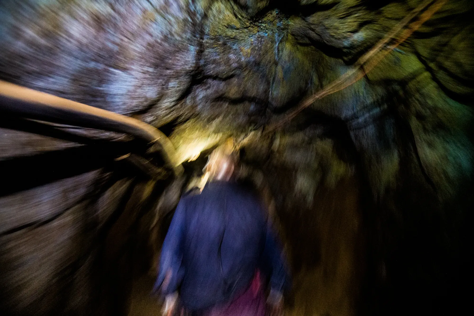 entranas vacias - Image 4